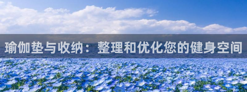 哈哈体育集团E.ON