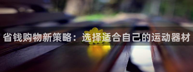 哈哈体育招商电话地址是多少：省钱购物新策略：选择适合自己的运