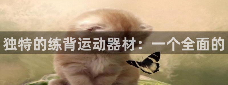 哈哈体育平台注册要钱吗是真的吗：独特的练背运动器材：一个全面