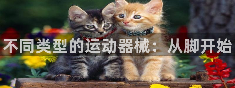 哈哈体育平台注册要钱吗