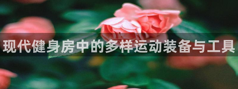 哈哈体育招商电话号码是多少啊：现代健身房中的多样运动装备与工